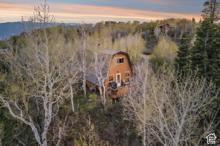 Aerial Elevation - Close aerial of the A-frame and deck, showing the roofline, upper windows, and wooded surroundings.