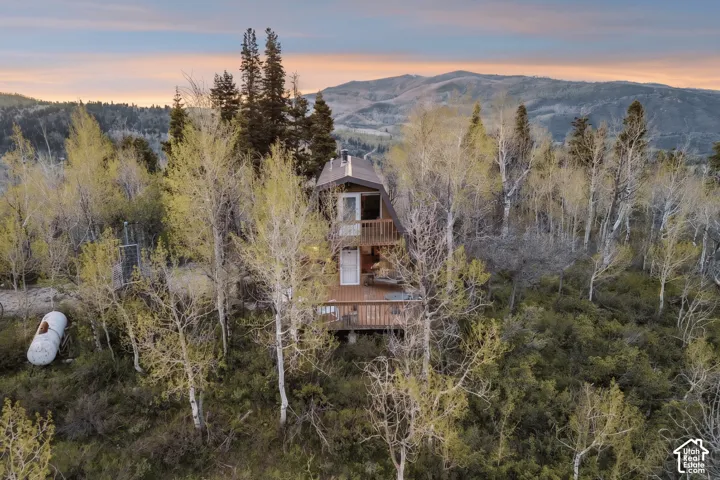 Aerial Setting - The property sits above the surrounding valley on a wooded lot with private road access and views across the canyon.