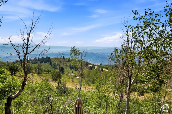Balcony View - Open outlook over the hillside and neighboring tree line, with layered mountain ridges on the horizon.