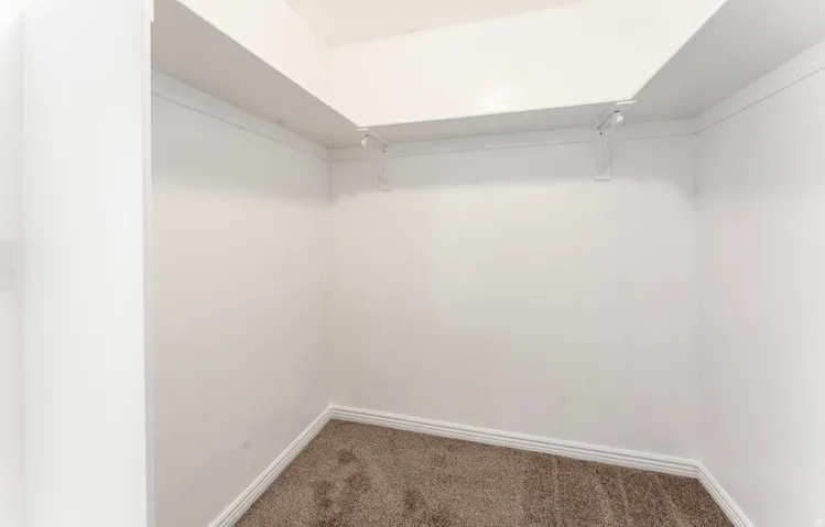 Compact closet space featuring fresh white walls, recessed lighting, and neutral carpet flooring