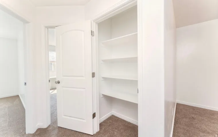 Built-in shelving unit providing organized storage