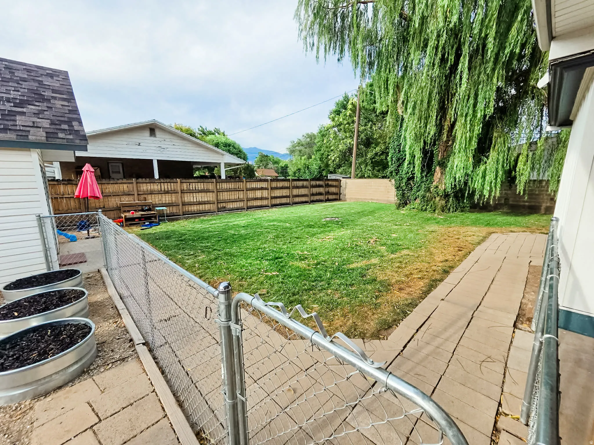 Expansive backyard featuring a lush lawn, mature weeping willow tree, and wood privacy fencing