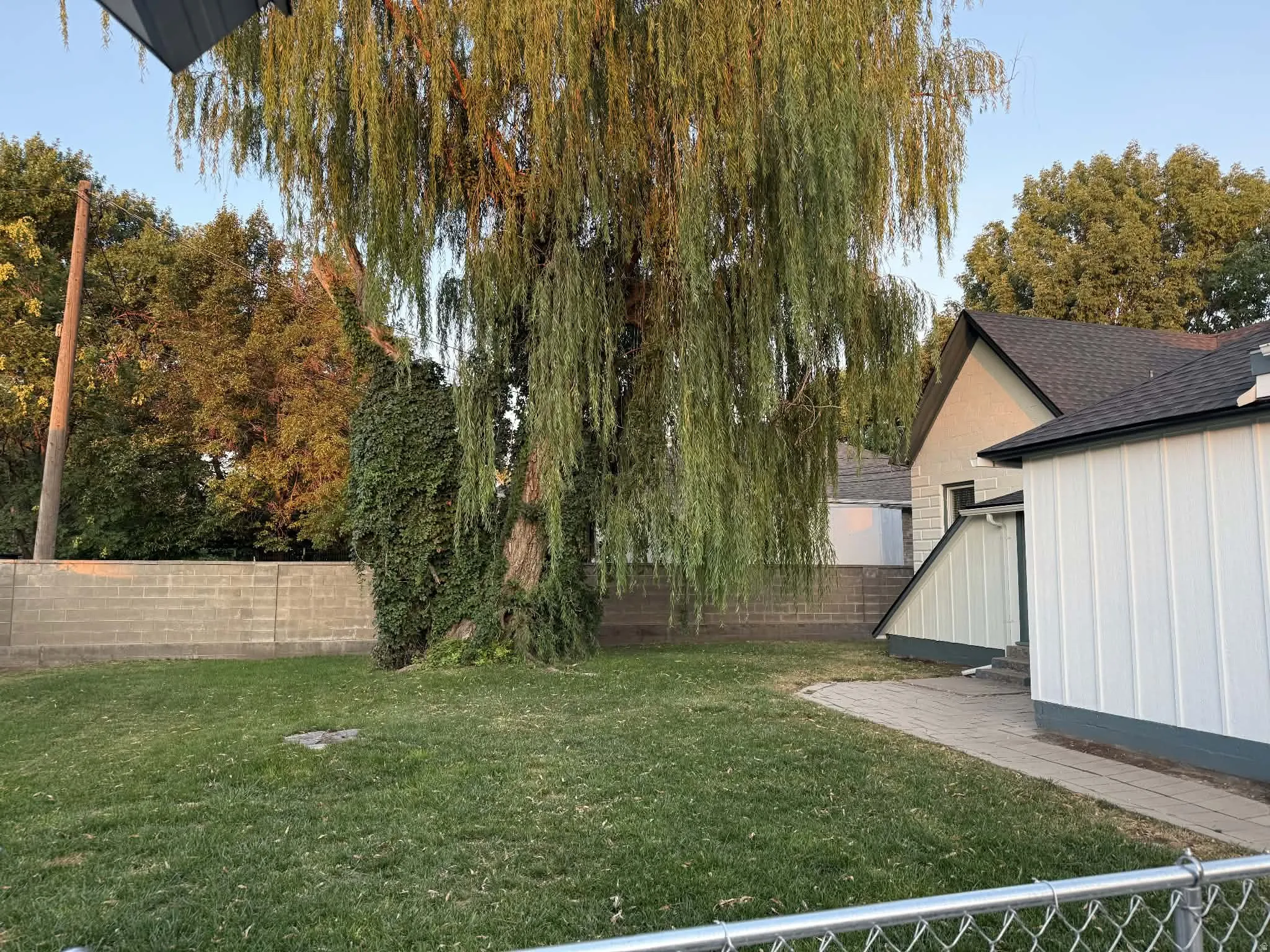 Expansive backyard featuring a mature willow tree, a manicured lawn, a paved walkway, and a privacy fence