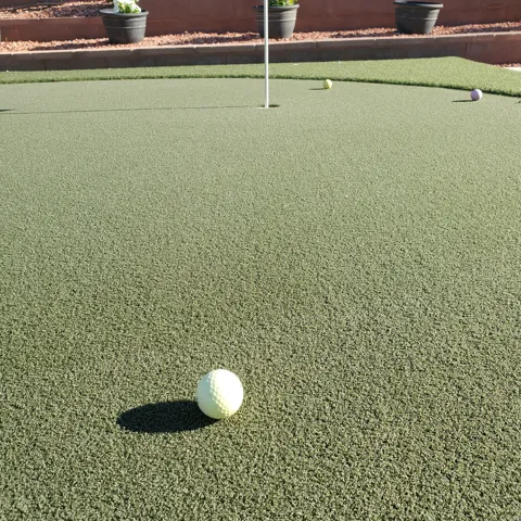 Private putting green featuring artificial turf with multiple holes