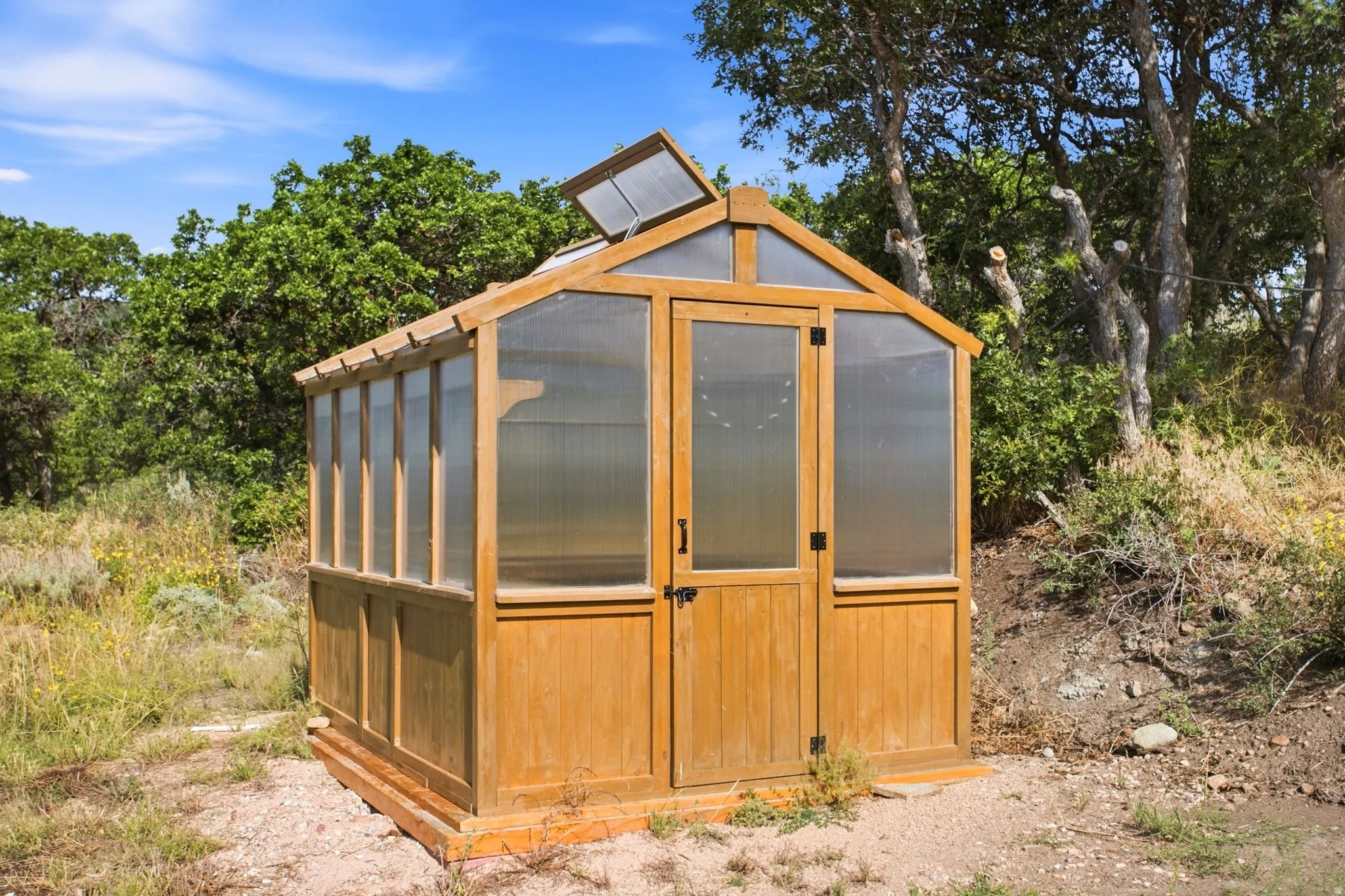 Freestanding wooden greenhouse featuring a pitched roof, translucent paneling, and a single entry door with dark hardware