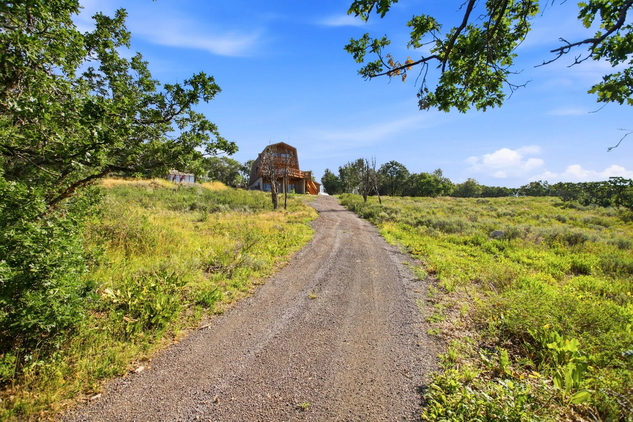 Gravel drive winding through expansive natural landscaping towards the house