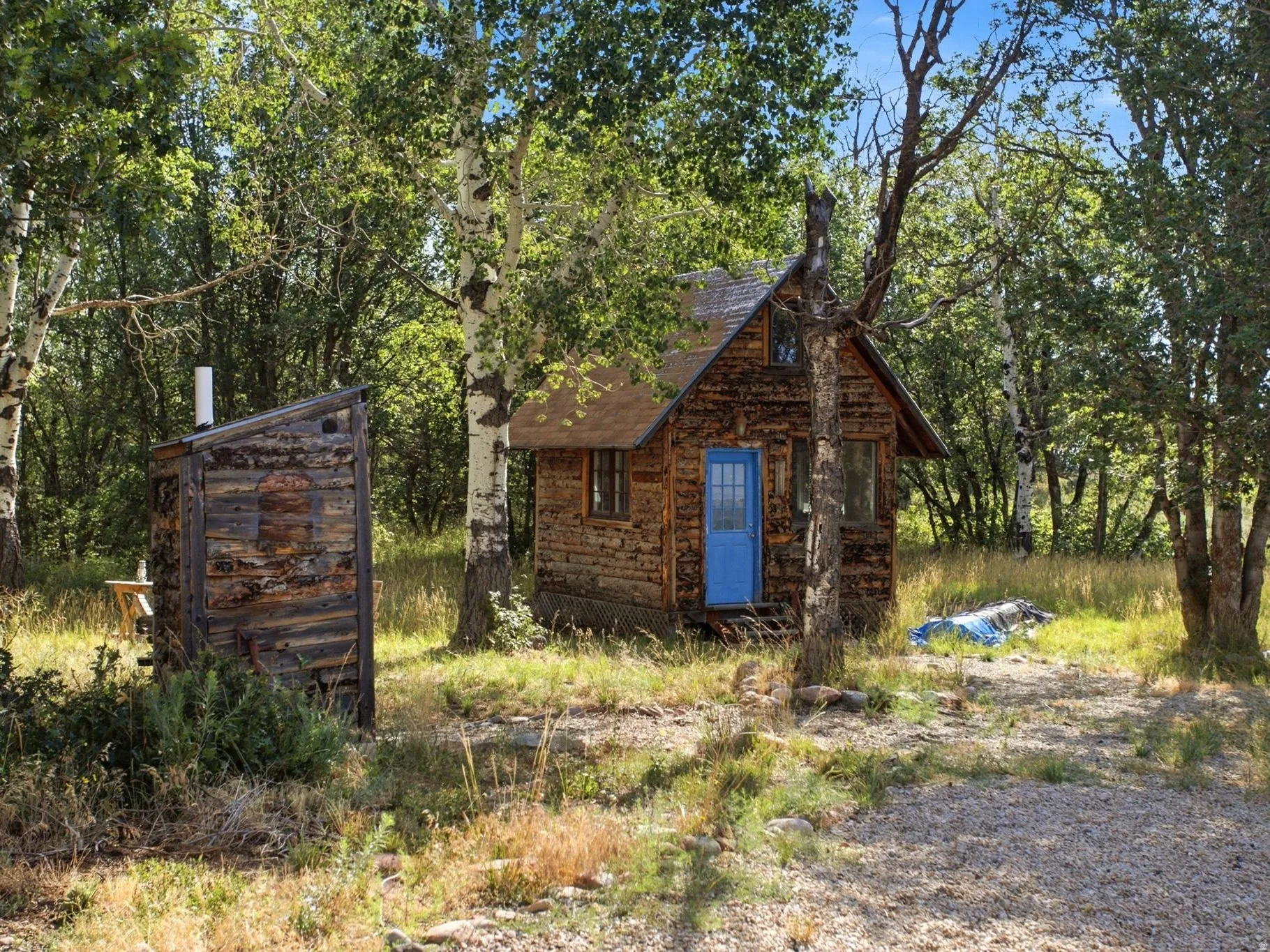 Rustic cabin featuring log siding, a vibrant blue entry door, and a brown asphalt shingle roof