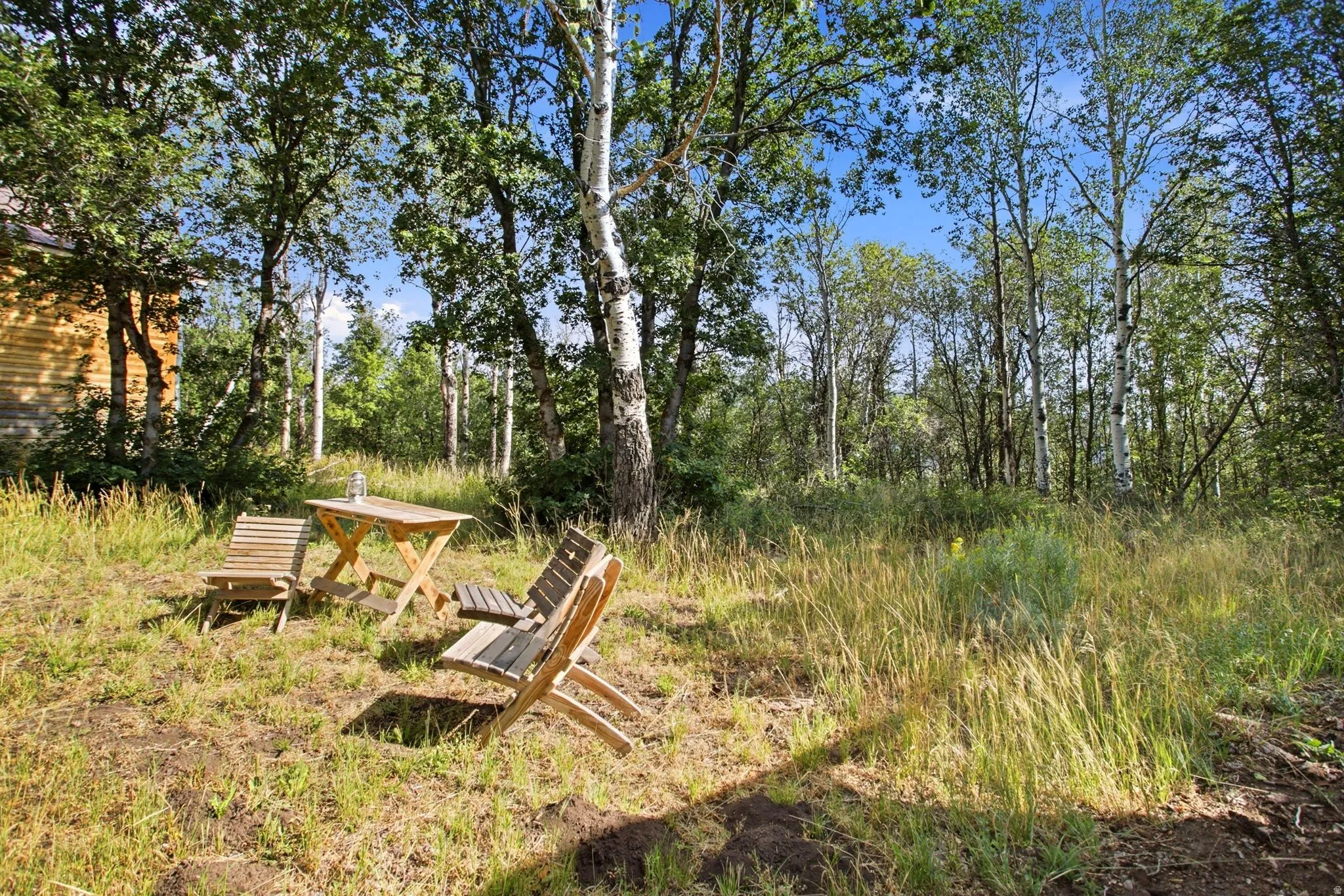 Picnic area surrounded by mature trees, featuring a natural landscape with tall grasses