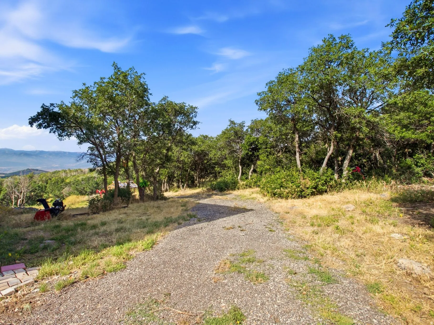 Gravel pathway bordered by natural landscaping and mature trees, with distant mountains under a clear sky
