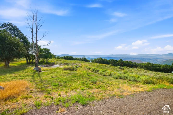 Expansive lot featuring varied green and golden grasses, natural shrubbery, and mature trees