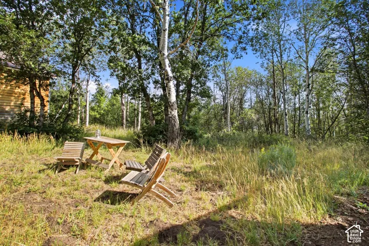 Picnic area surrounded by mature trees, featuring a natural landscape with tall grasses