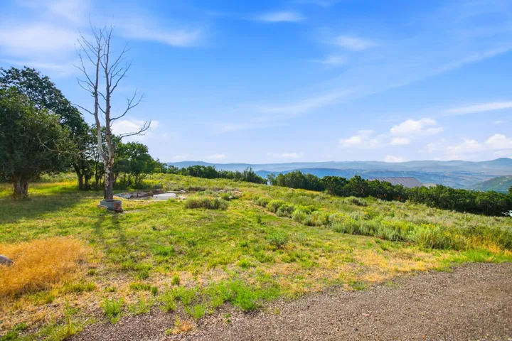 Expansive lot featuring varied green and golden grasses, natural shrubbery, and mature trees