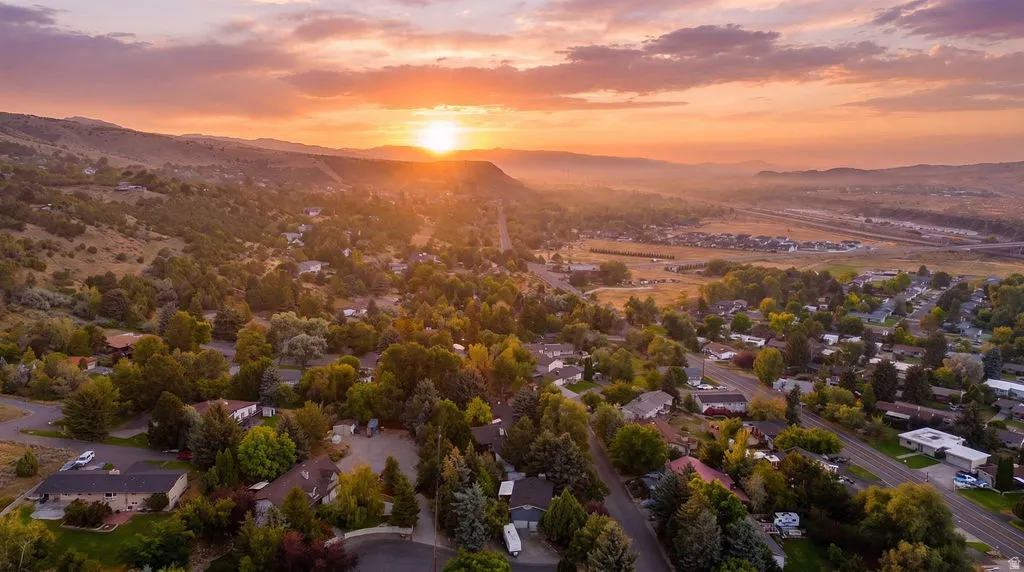 Aerial perspective of a verdant landscape with extensive tree coverage and distant mountainous terrain