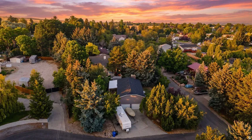 Residential neighborhood with mature trees and a paved street