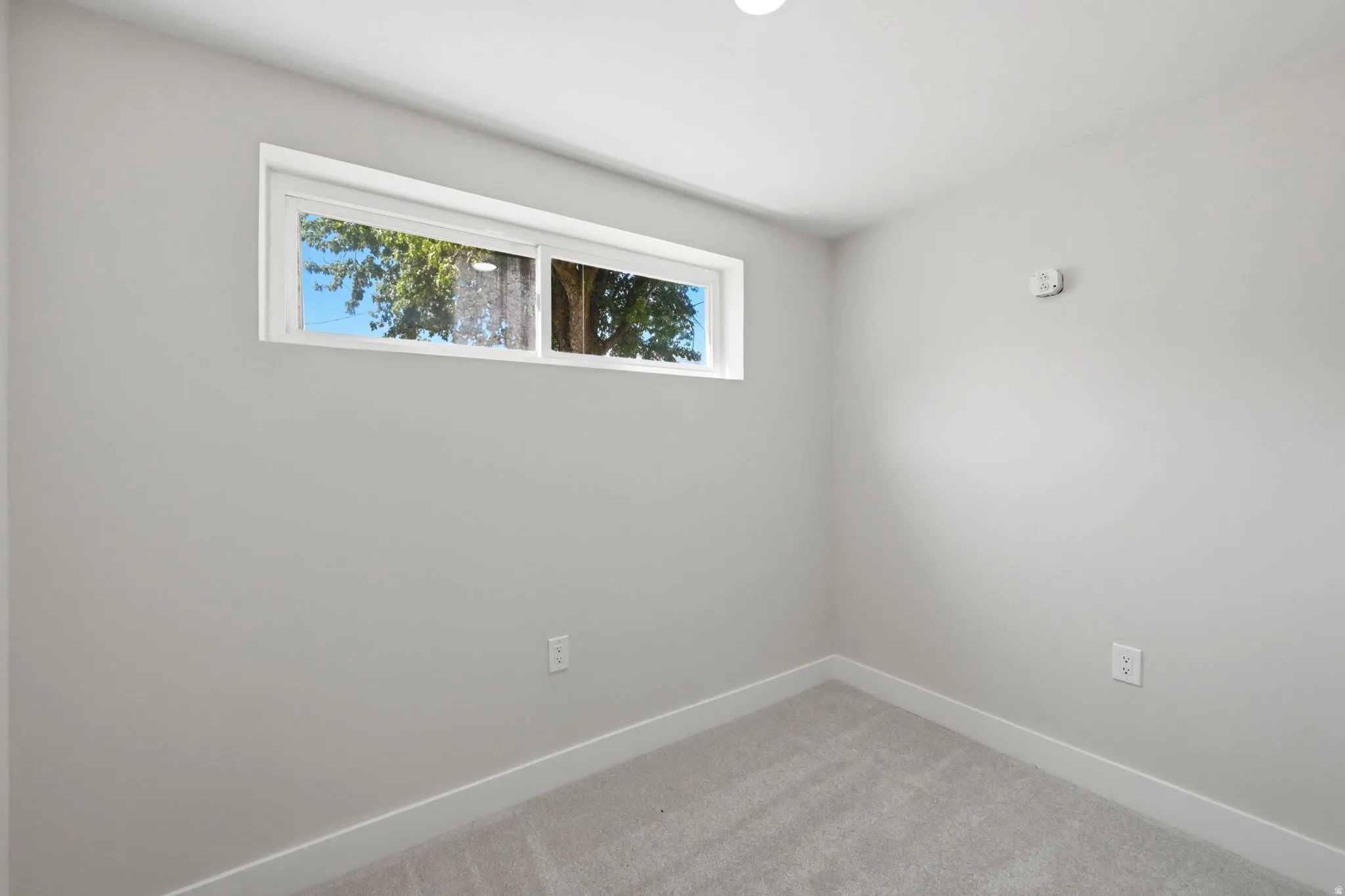Neutral gray painted walls with white trim and carpeted flooring
