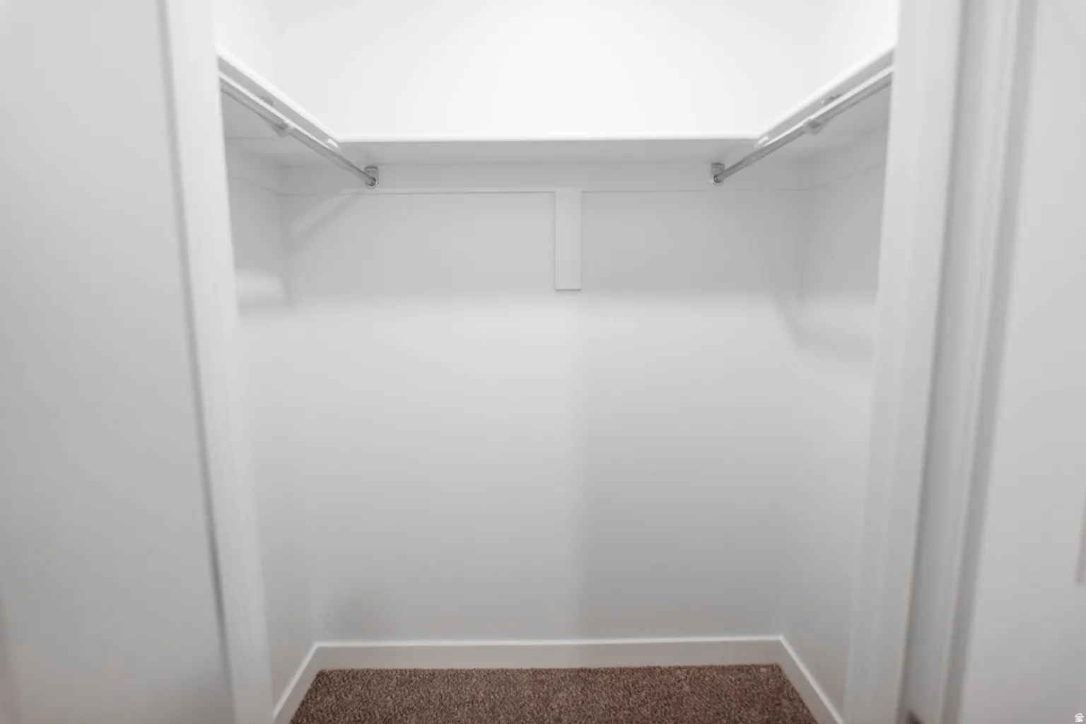 Walk-in closet featuring white painted walls, a single high shelf, dual metal hanging rods, white trim, and brown carpet flooring