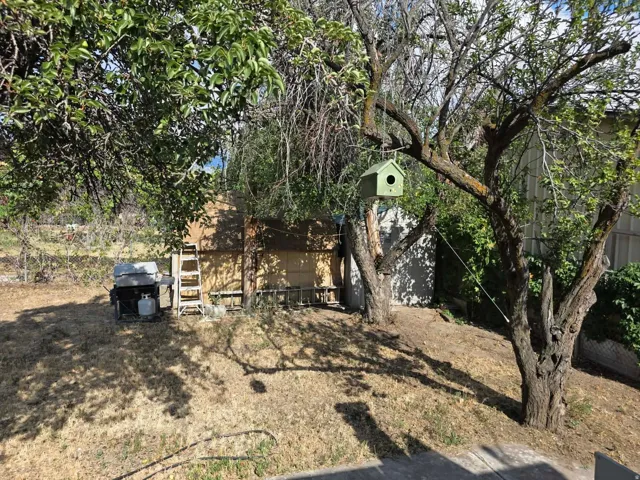 Rear yard with mature trees providing shade and a wooden exterior structure