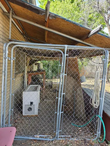 Enclosed outdoor structure featuring chain link fencing and a partial plywood roof