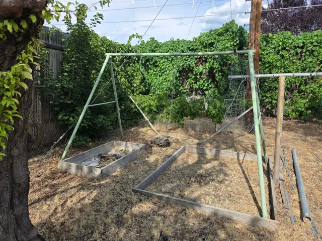 Landscaped backyard featuring established trees and a vine-covered fence line