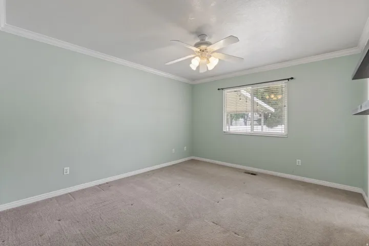 Carpeted room featuring light green walls, white crown molding, a window with horizontal blinds, and a ceiling fan with integrated lighting