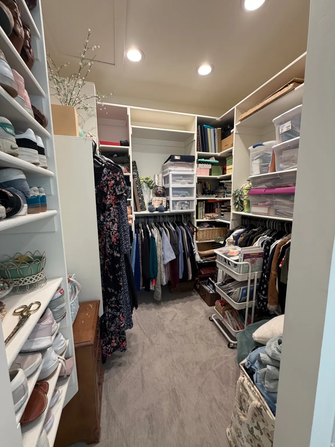 Walk-in closet featuring extensive built-in shelving, multiple hanging rods, recessed lighting, and carpet flooring
