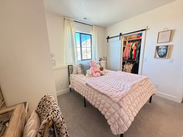 Bright room featuring light-colored carpet, a window with white trim, and a built-in closet with a sliding barn door to a walk in closet and interior shelving