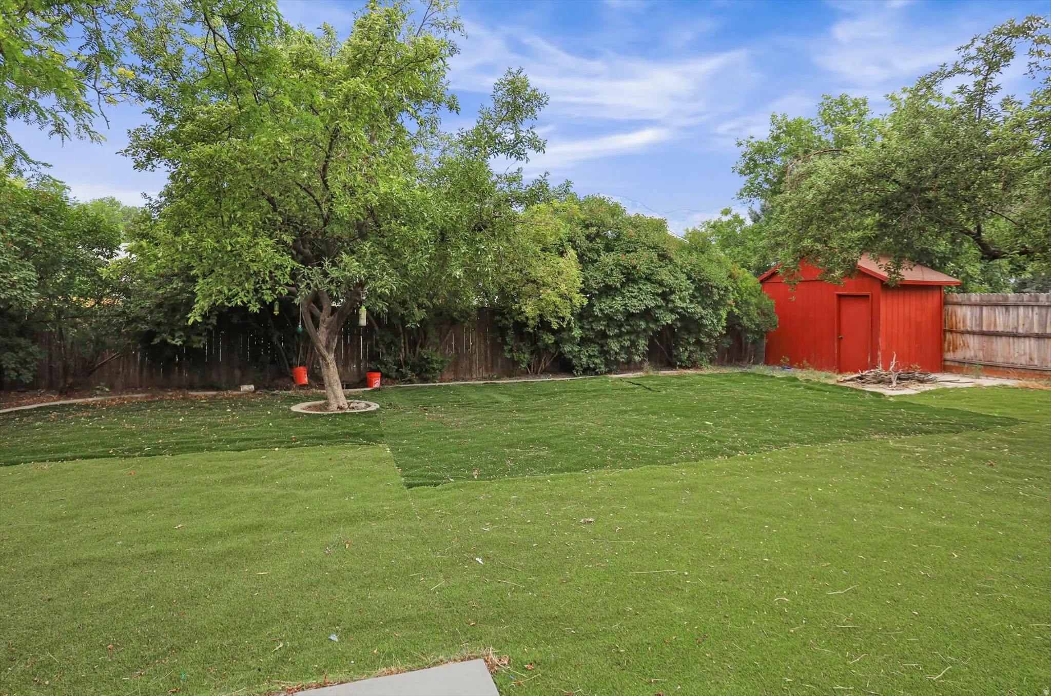 Expansive backyard featuring a large artificial green lawn, mature trees, a privacy fence, and an outdoor storage shed