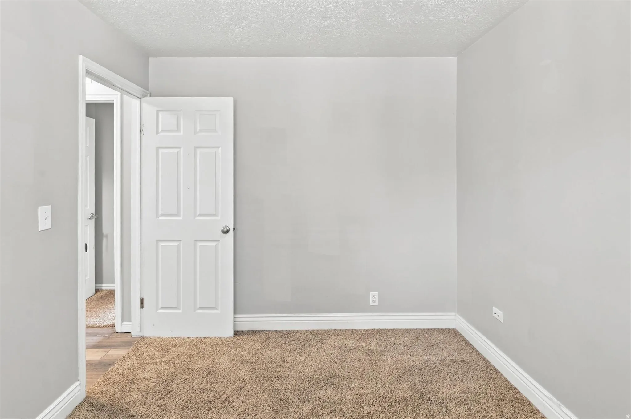 Room featuring neutral-toned walls, contrasting white trim, and plush carpeting