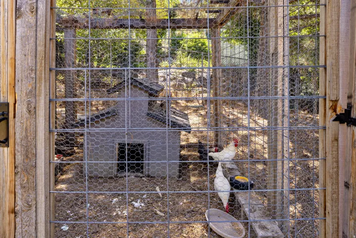 Enclosed Chicken Coop