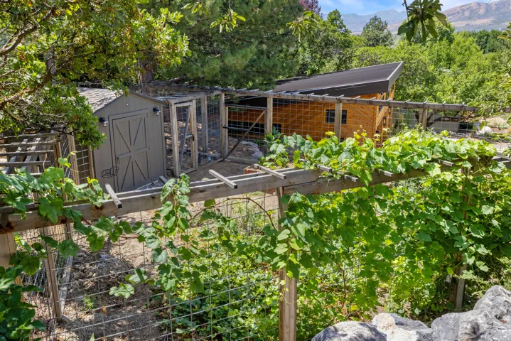 Expansive outdoor area featuring a wood pergola with lush green foliage, a detached storage shed, and a rustic wood-sided structure with a dark-pitched roof