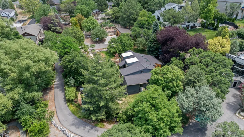 Curving driveway surrounded by mature trees, leading to a contemporary residence with a dark roof and multiple skylights, all set within a verdant landscape