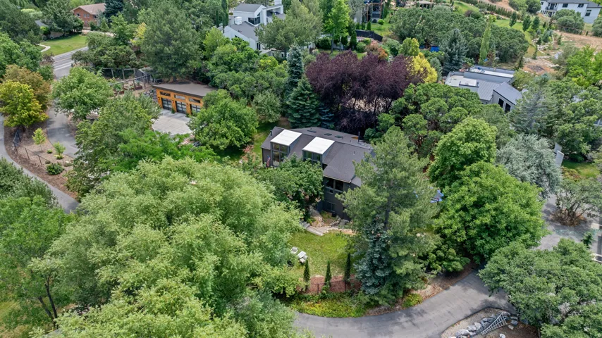Contemporary residence nestled among mature trees