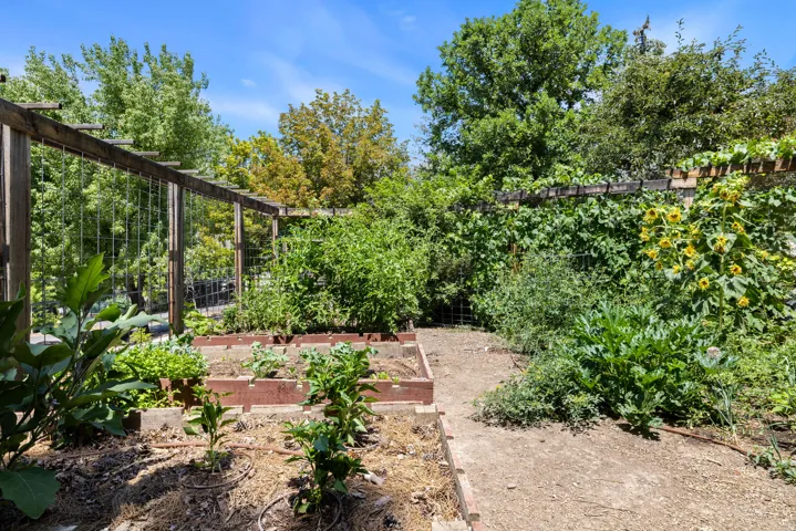 Expansive garden area featuring multiple raised beds, established plantings, and a wood trellis system