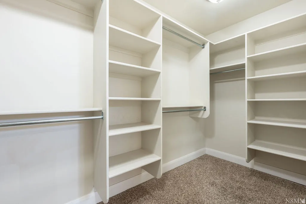 Spacious walk-in closet featuring white built-in shelving, multiple hanging rods, and carpet flooring