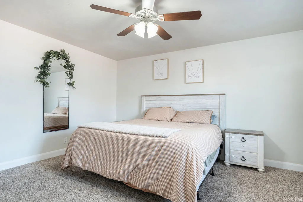Carpeted room featuring a ceiling fan with light fixture and light-toned walls