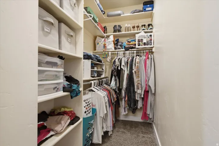 Walk-in closet featuring built-in shelving, clothing rods, and textured carpeting