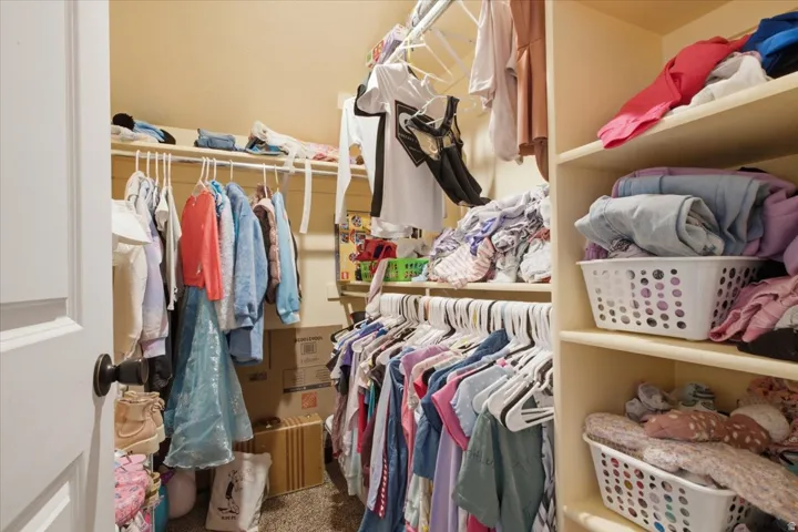 Walk-in closet featuring multiple hanging rods, built-in shelving, and carpet flooring