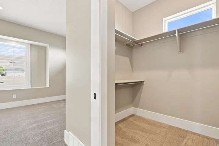 Walk-in closet featuring carpet flooring, built-in shelving, and a high transom window