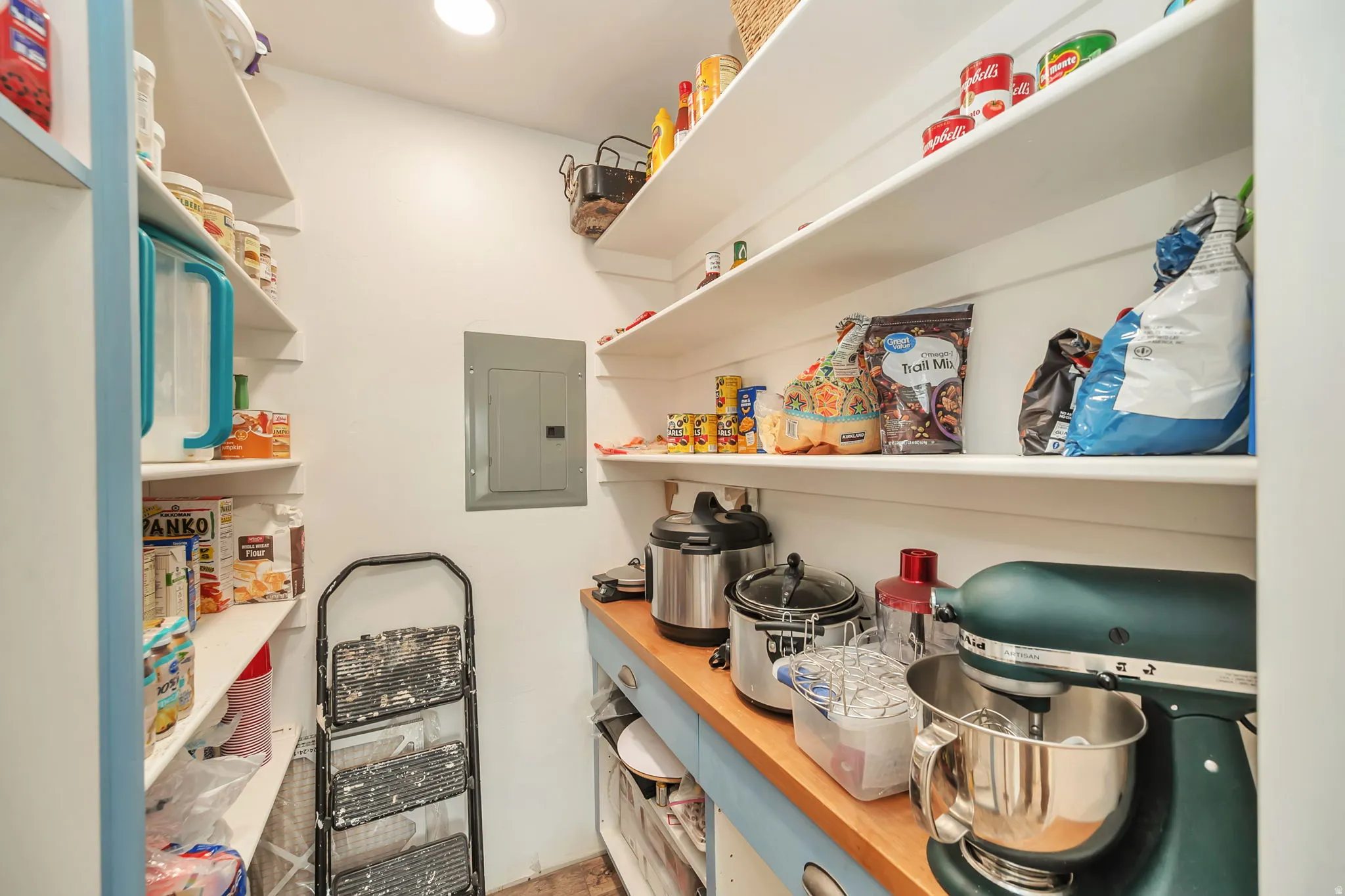 Dedicated pantry featuring extensive built-in shelving, a wood-finish countertop, and integrated base cabinetry