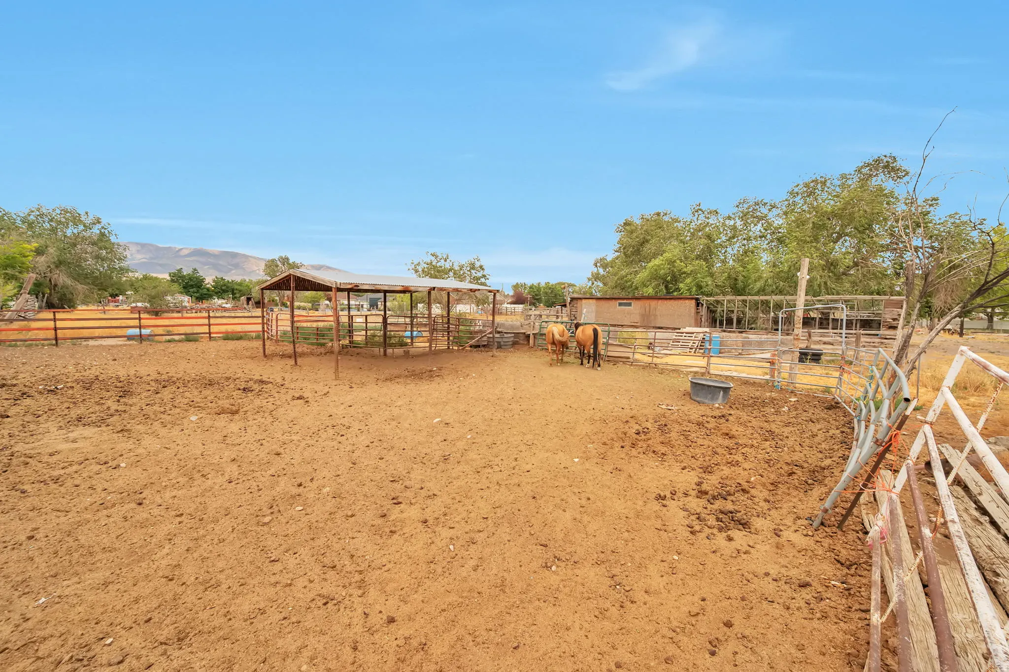 Expansive equestrian area featuring a metal-framed shelter, multiple fenced enclosures, and a feeding trough
