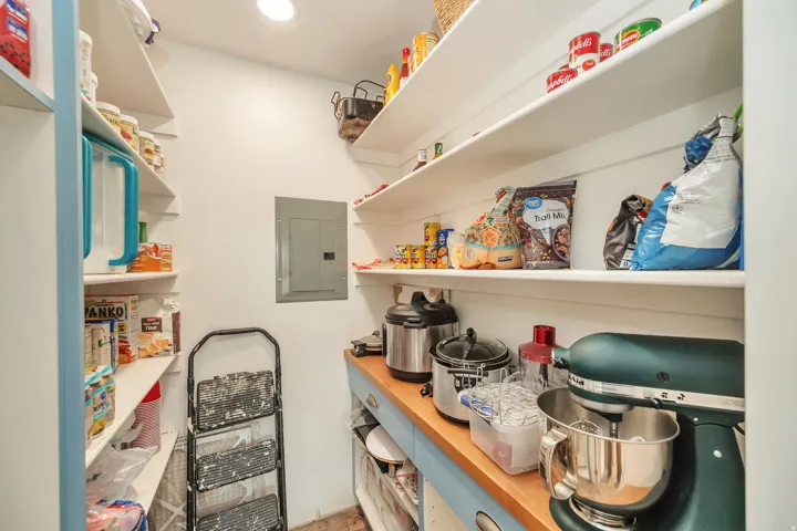 Dedicated pantry featuring extensive built-in shelving, a wood-finish countertop, and integrated base cabinetry