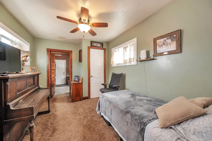 Interior room featuring light green walls, a ceiling fan with integrated lighting, and textured brown carpeting