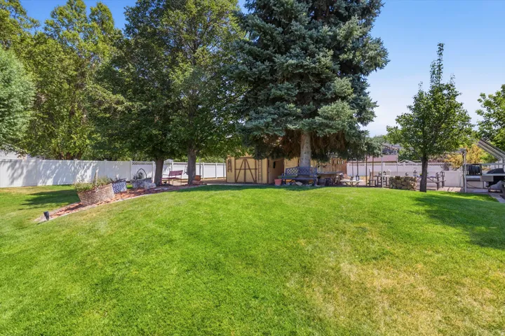 Expansive lawn area with mature trees providing natural shading