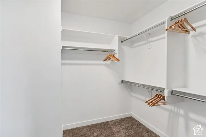 Primary walk-in closet featuring white built-in shelving, chrome hanging rods, and carpet flooring