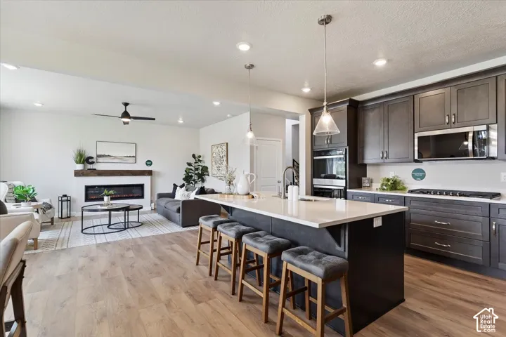 Open-concept living space featuring a gourmet kitchen with dark cabinetry, stainless steel appliances, and a large island with a sink
