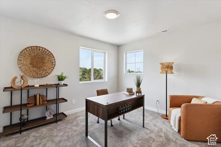 Upstairs loft featuring two windows, neutral wall color, and carpet flooring