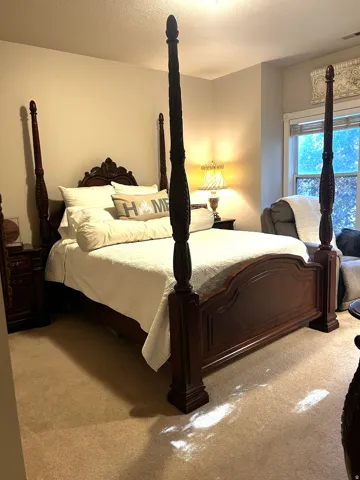 Plush carpeting throughout with neutral wall tones