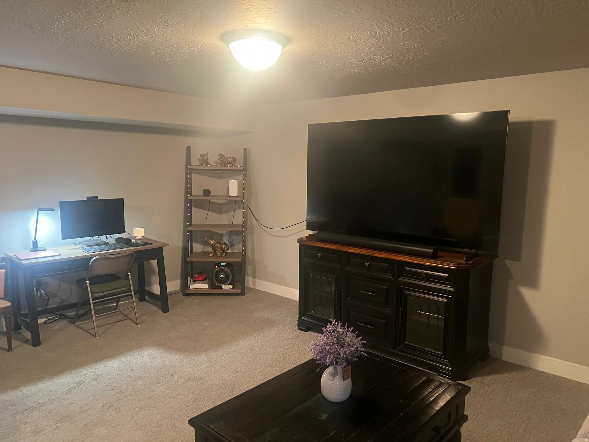 Carpeted room featuring a built-in ceiling light, a dark gray painted wall, and white baseboards