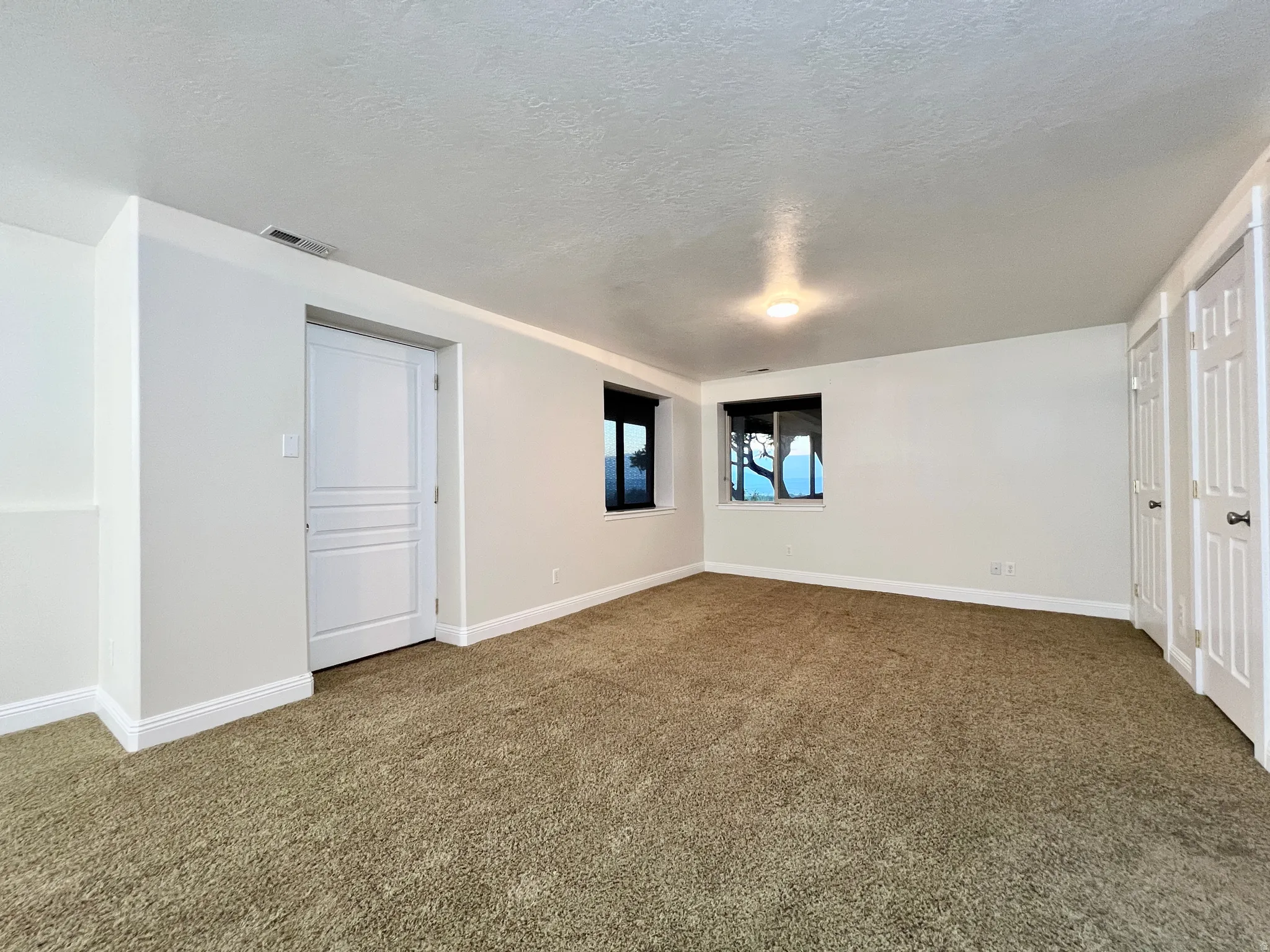 Spacious room featuring neutral carpet, white walls, two windows, two white paneled doors, and a ceiling light fixture