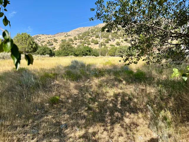 Expansive undeveloped land featuring natural vegetation and distant mountain terrain